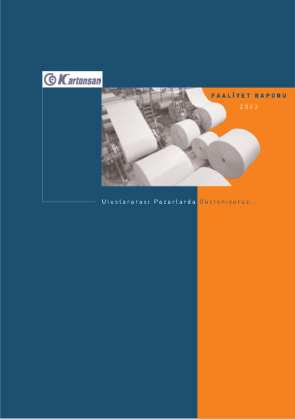 Annual Report 2003